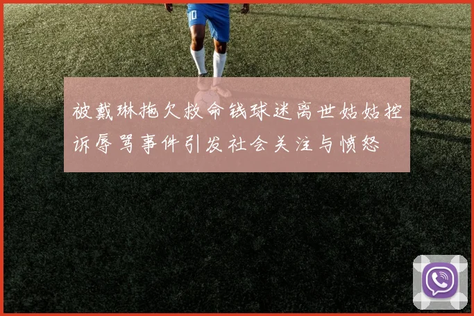 被戴琳拖欠救命钱球迷离世姑姑控诉辱骂事件引发社会关注与愤怒