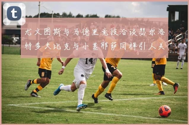 尤文图斯与马德里竞技洽谈瑟尔洛特多夫比克与小基耶萨同样引人关注
